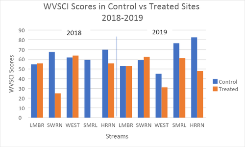 Photo showing a chart with WVSCI Scores in Control vs Treated Sites