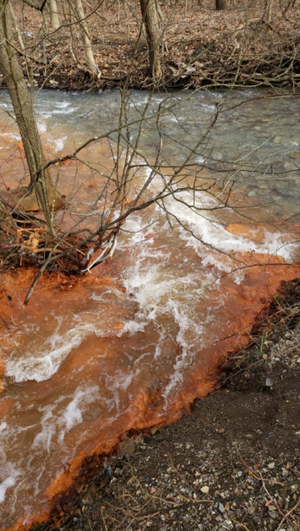 Tributary transporting water discharged from the Warden mine into the Youghiogheny River. The orange color comes from iron precipitating out of the acidic water, covering the stream bed while using up oxygen in the water needed to support life