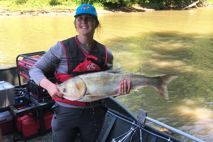 Abigail Clasgens, a wildlife and fisheries resources major, holds an invasive carp caught during field work with Kentucky Division of Natural Resources